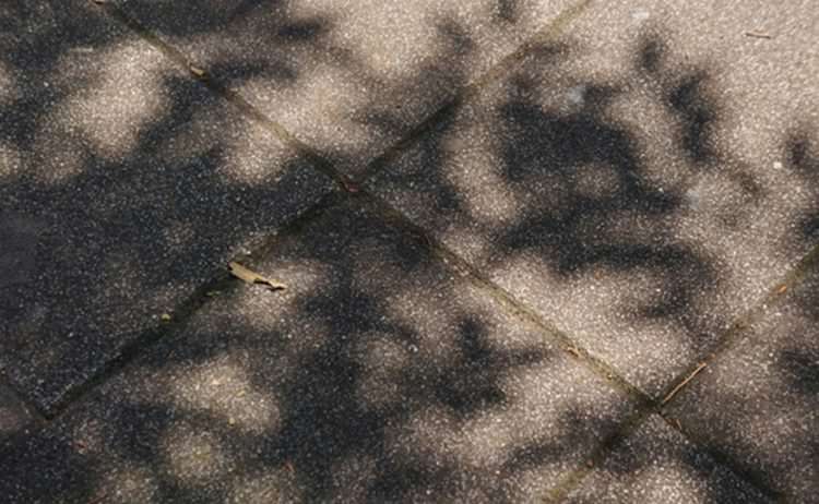 ©Hiroshi Nakamura & NAP