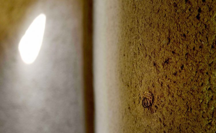 ©Hiroshi Nakamura & NAP