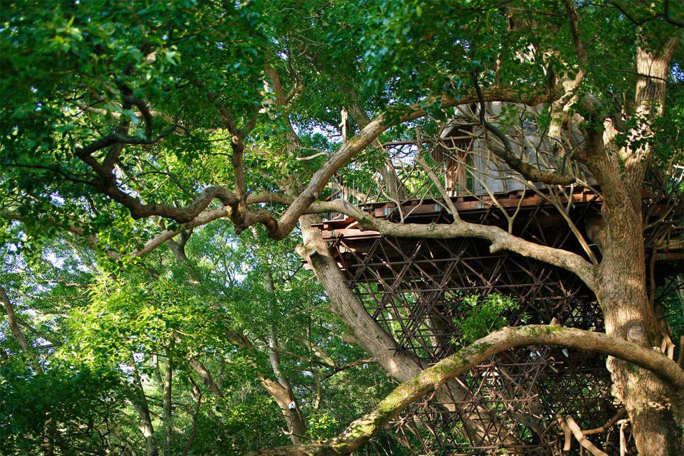 Bird S Nest Hiroshi Nakamura Nap 中村拓志 Nap建築設計事務所 Bird S Nest Hiroshi Nakamura Nap 中村拓志 Nap建築設計事務所
