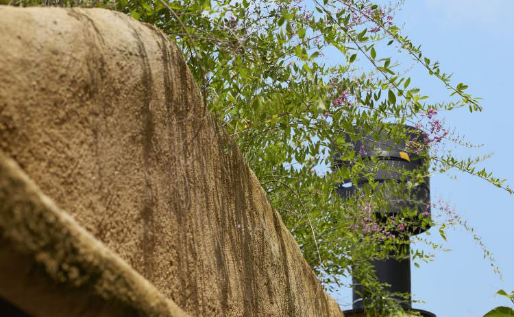 ©Nacasa & Partners Inc.