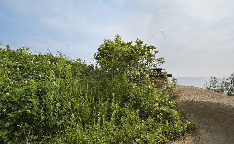 ©Nacasa & Partners Inc.