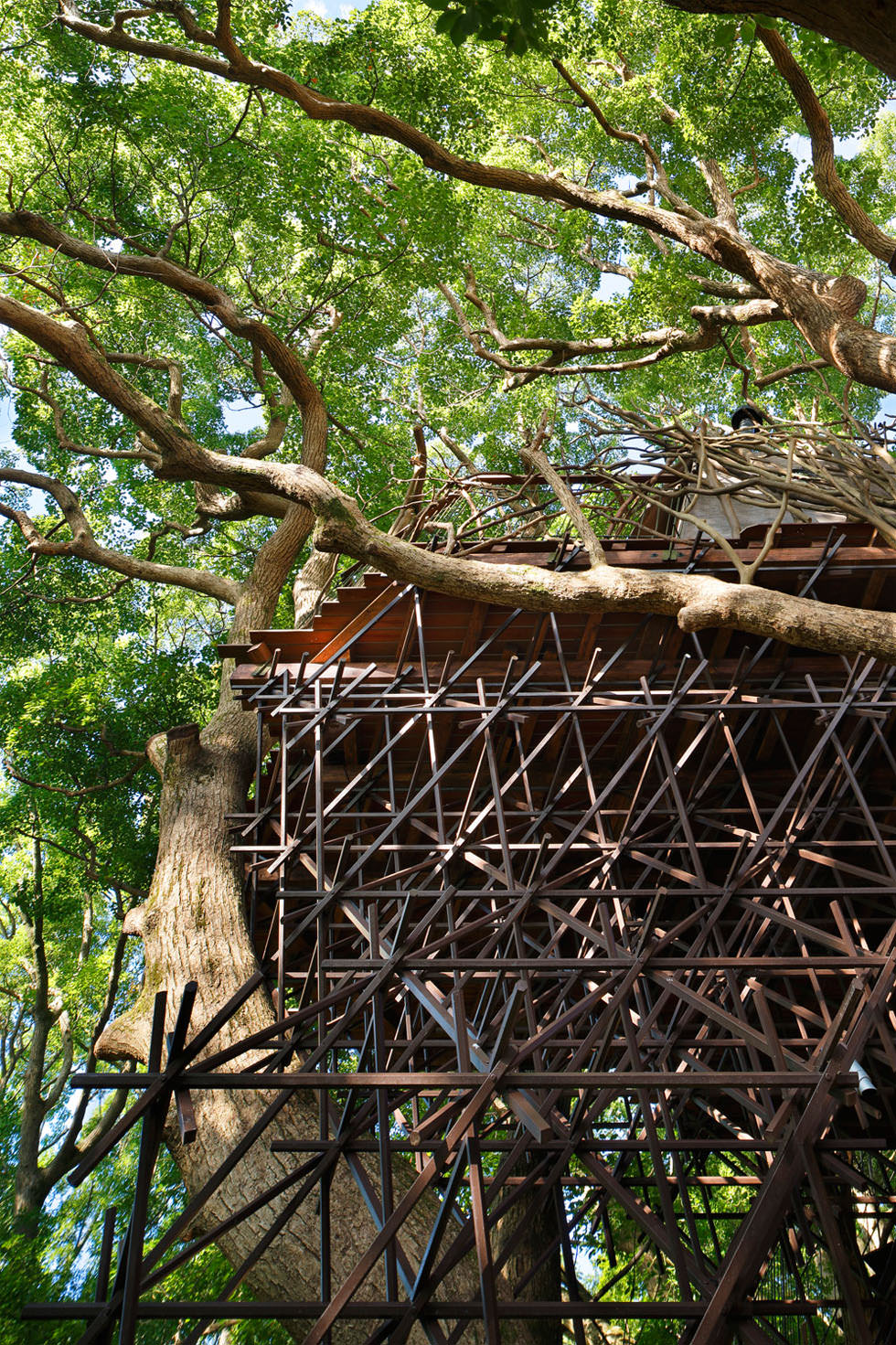 Bird S Nest Hiroshi Nakamura Nap 中村拓志 Nap建築設計事務所