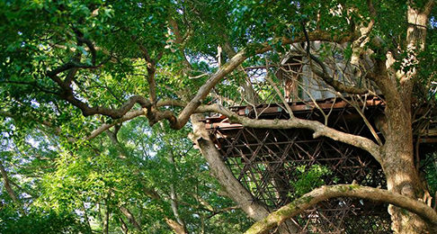 Bird’s Nest Atami