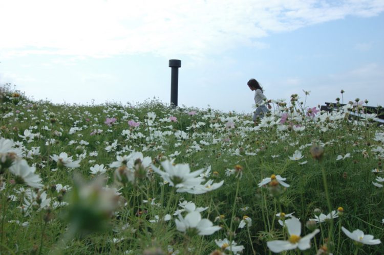 ©Hiroshi Nakamura & NAP