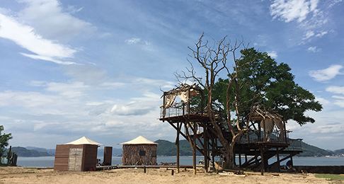 Tree terrace on uninhabited island