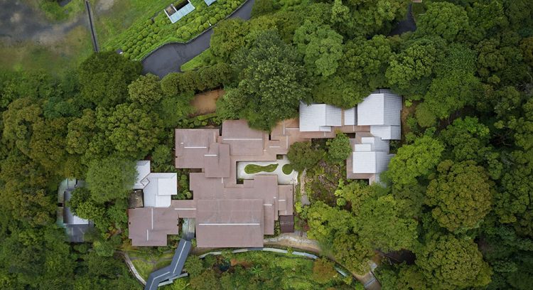 ©Koji Fujii / TOREAL