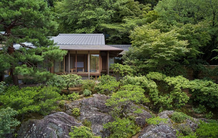 ©Koji Fujii / TOREAL