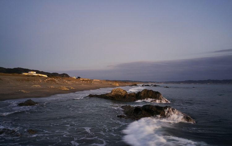 ©Koji Fujii / TOREAL