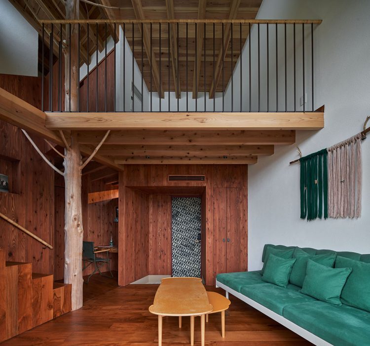 ©Koji Fujii / TOREAL