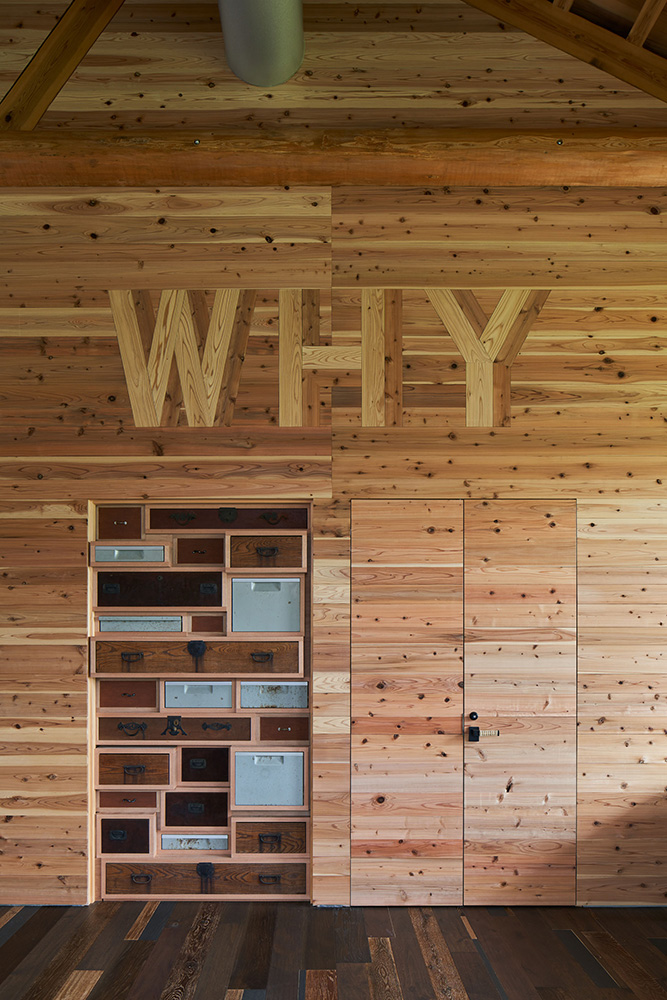 ©Koji Fujii / TOREAL