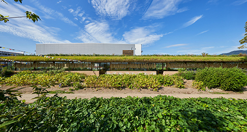 Laboratory Under The Crop Field