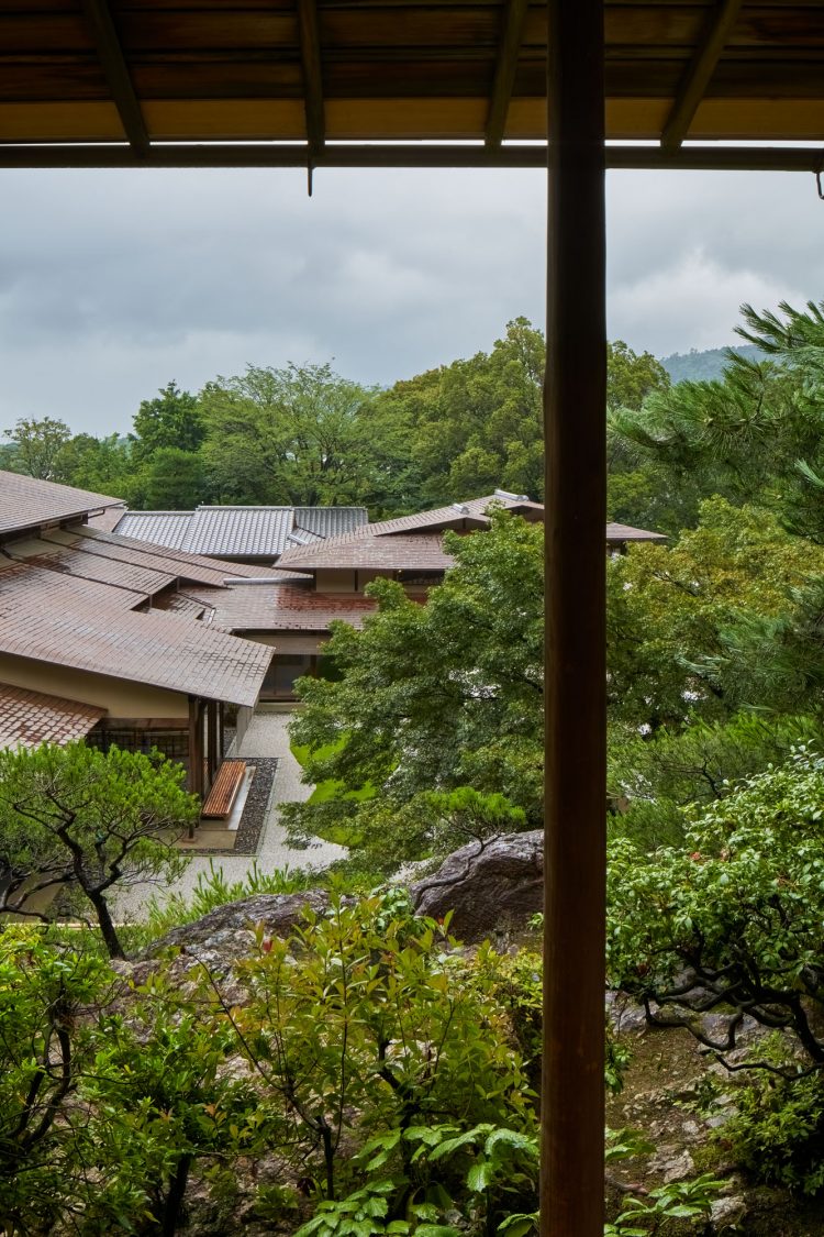 ©Koji Fujii / TOREAL