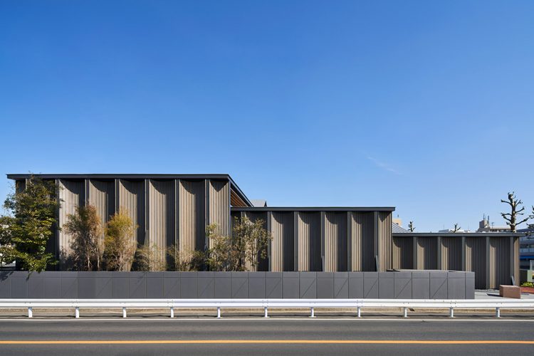 ©Koji Fujii / TOREAL