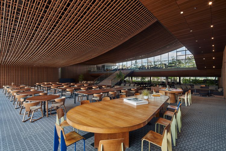 ©Koji Fujii / TOREAL