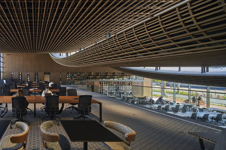 ©Koji Fujii / TOREAL