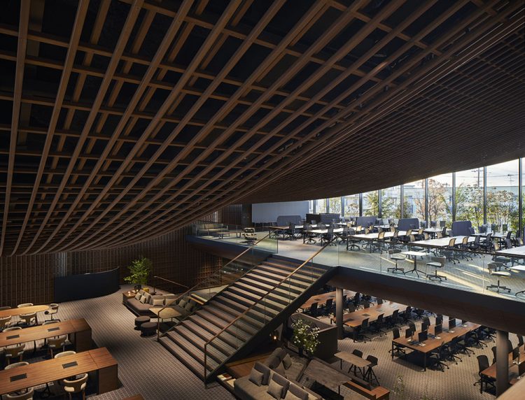 ©Koji Fujii / TOREAL