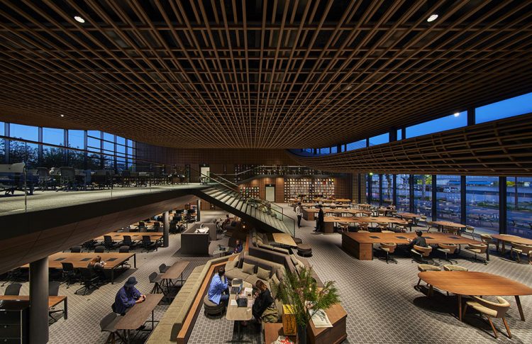 ©Koji Fujii / TOREAL