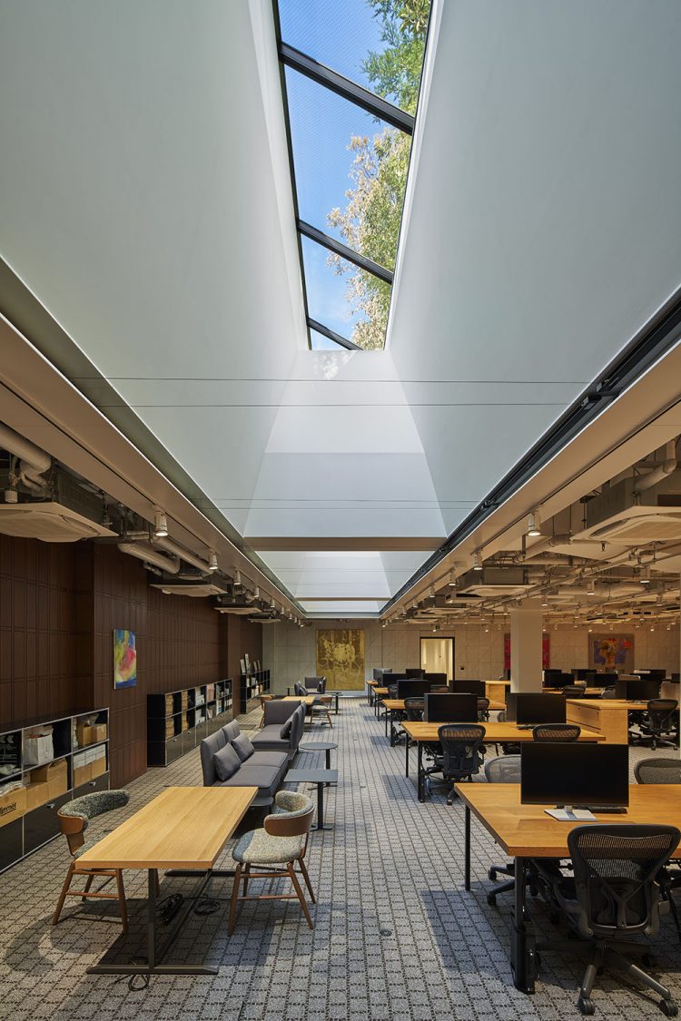 ©Koji Fujii / TOREAL