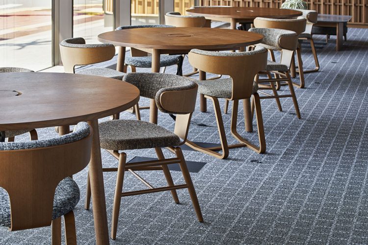 ©Koji Fujii / TOREAL