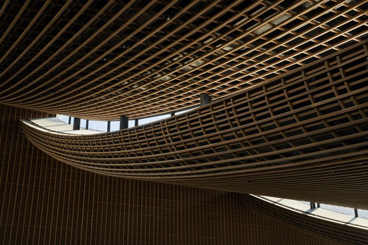 ©Koji Fujii / TOREAL