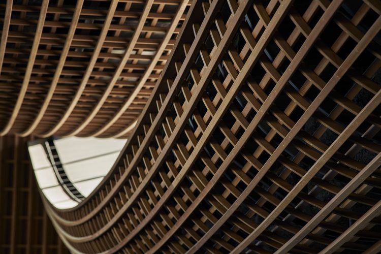 ©Koji Fujii / TOREAL