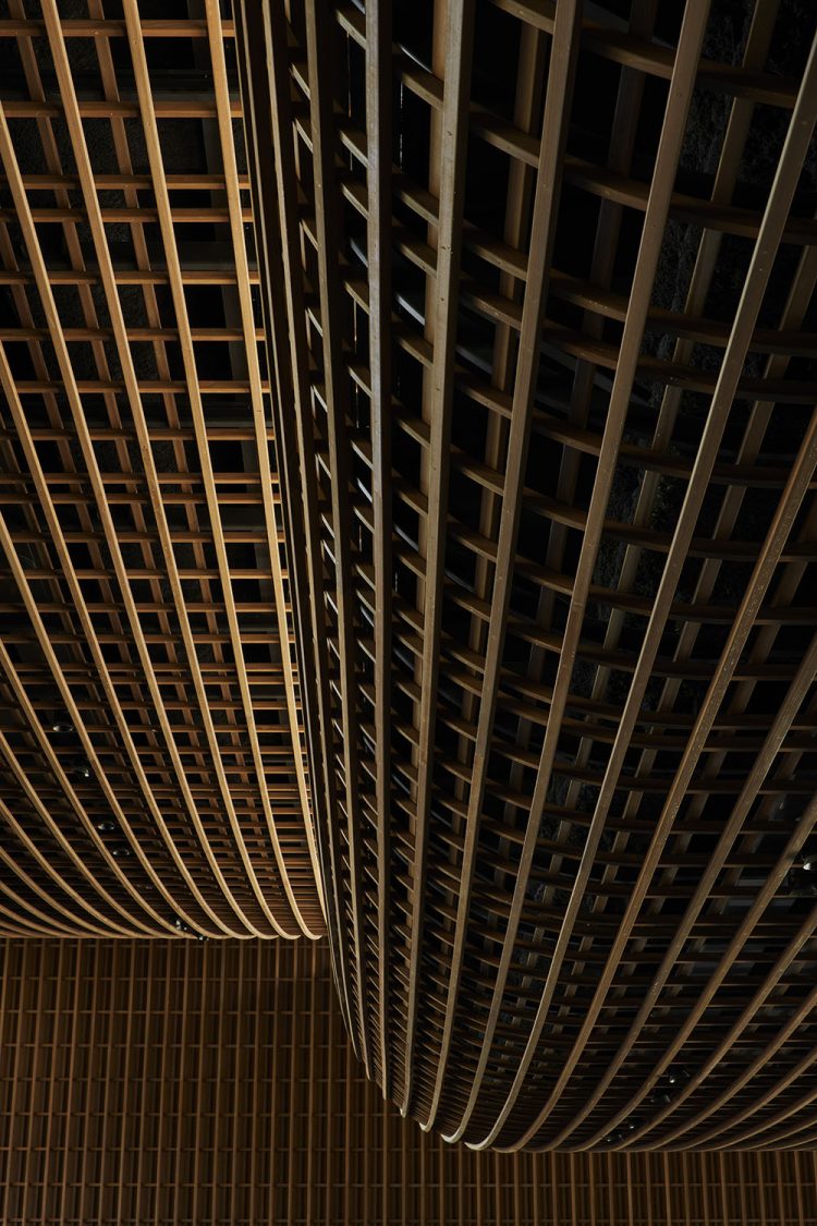 ©Koji Fujii / TOREAL