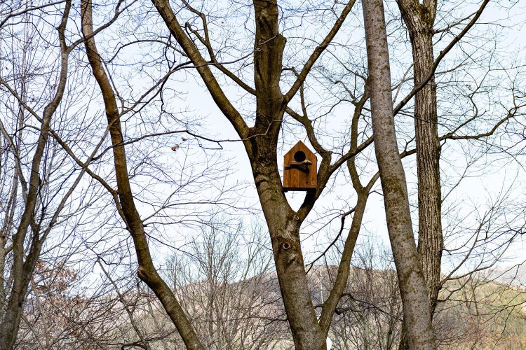 ©TRANSIT GENERAL OFFICE