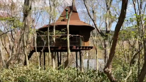 Tree Hut on Volcano