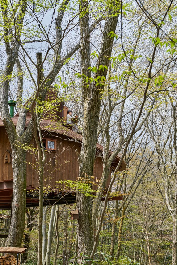 ©Koji Fujii / TOREAL