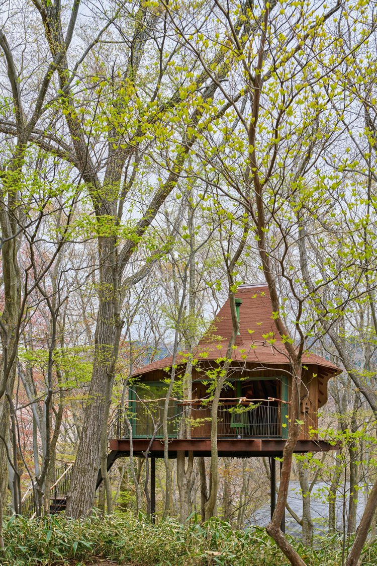 ©Koji Fujii / TOREAL