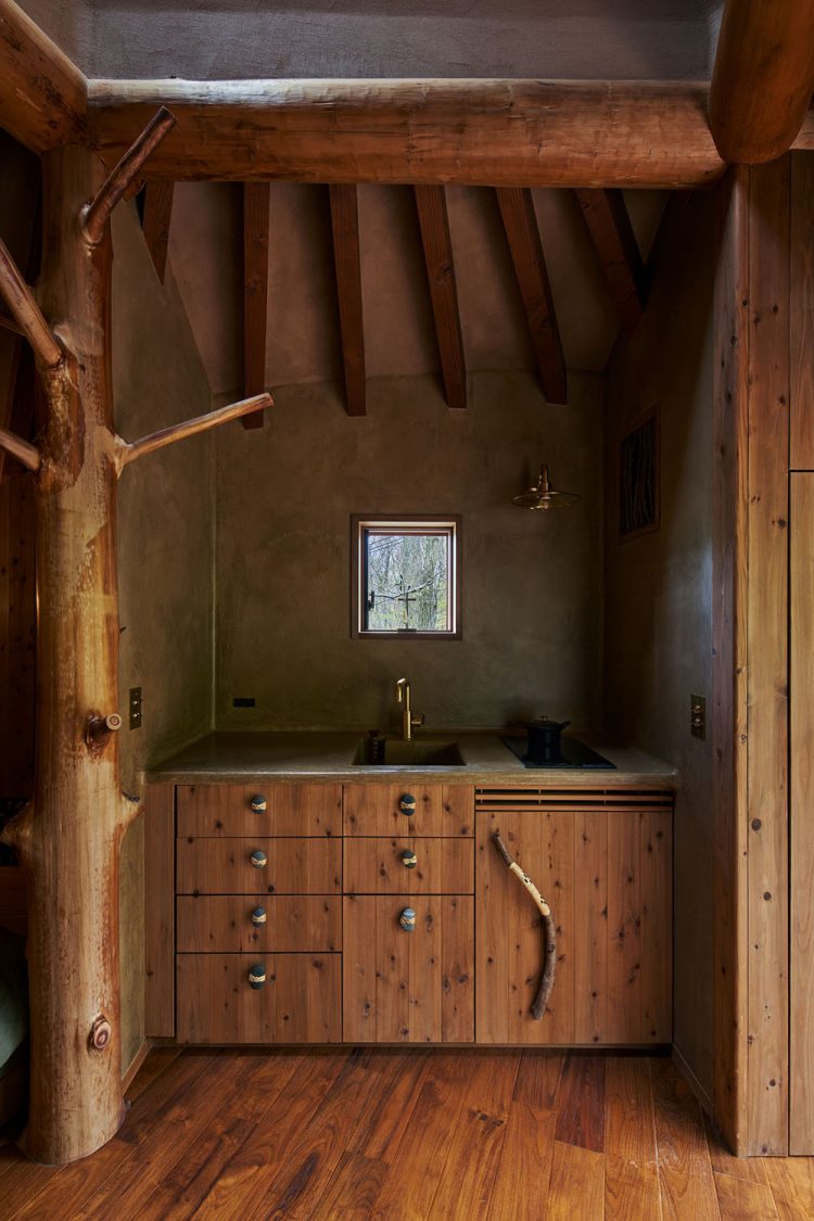 ©Koji Fujii / TOREAL