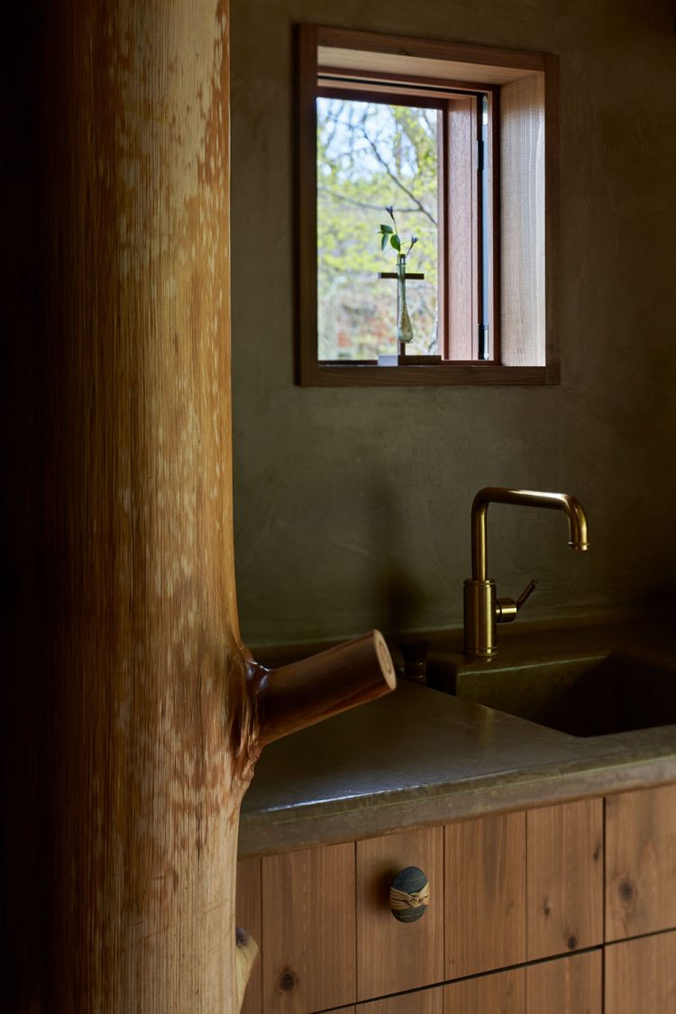 ©Koji Fujii / TOREAL