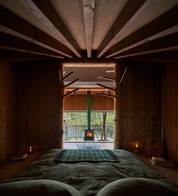 ©Koji Fujii / TOREAL