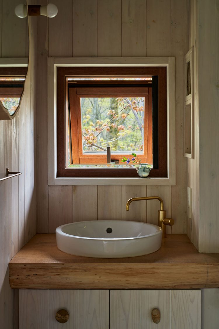 ©Koji Fujii / TOREAL