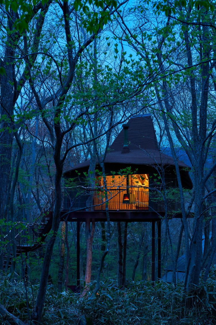 ©Koji Fujii / TOREAL