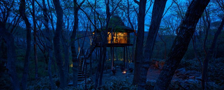 ©Koji Fujii / TOREAL