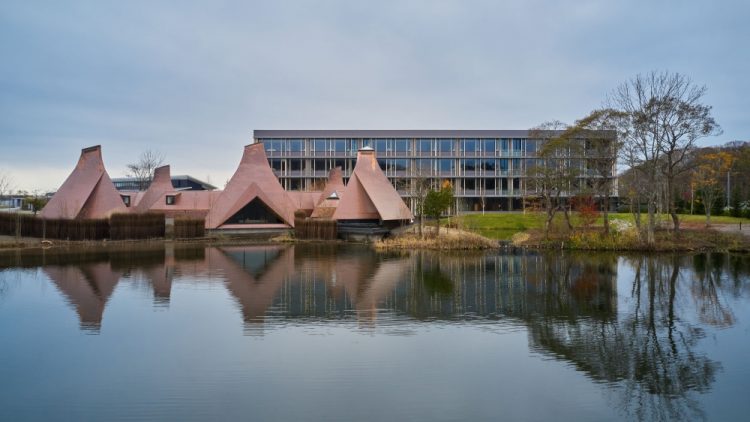 ©Koji Fujii / TOREAL