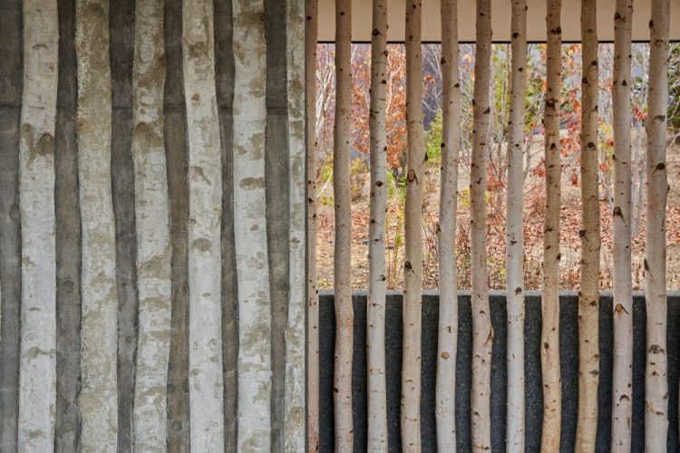 ©Koji Fujii / TOREAL