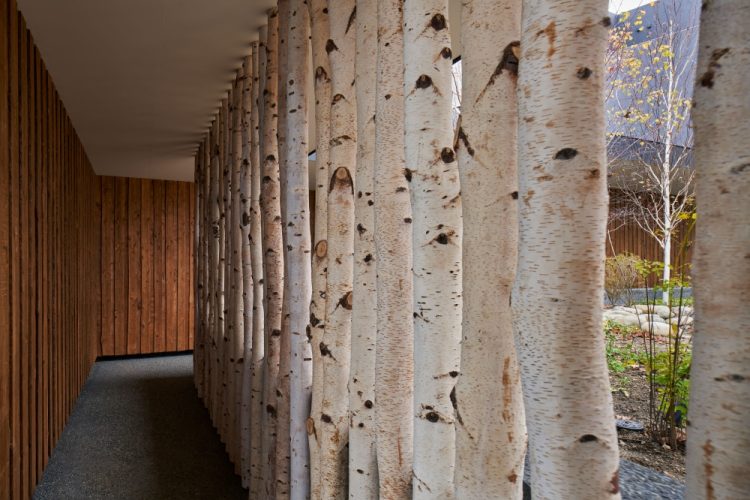 ©Koji Fujii / TOREAL