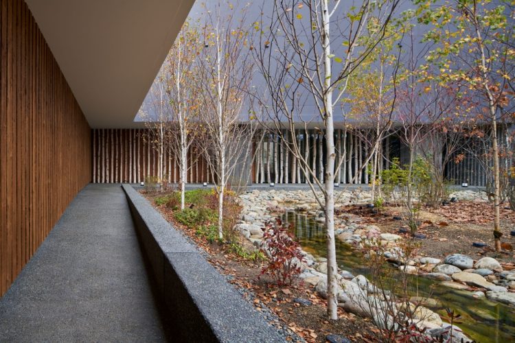 ©Koji Fujii / TOREAL