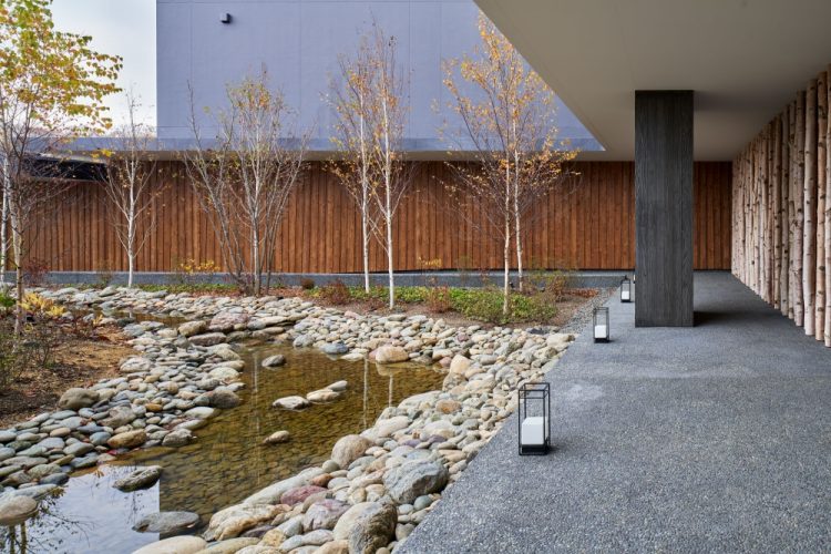 ©Koji Fujii / TOREAL