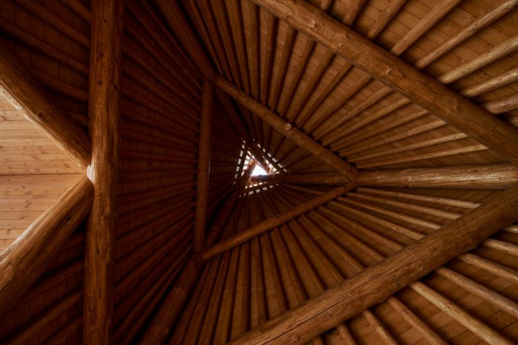 ©Koji Fujii / TOREAL