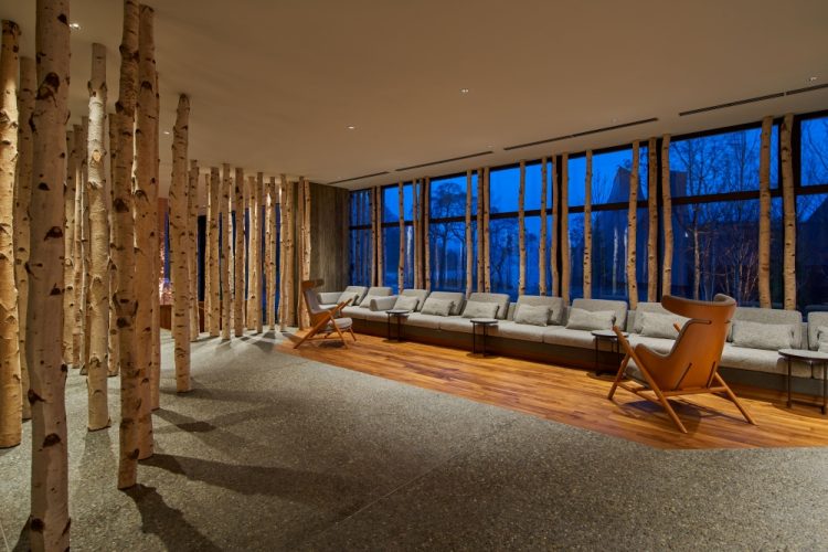 ©Koji Fujii / TOREAL