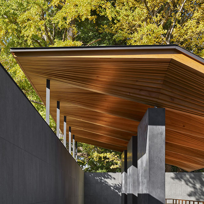 ©Koji Fujii / TOREAL