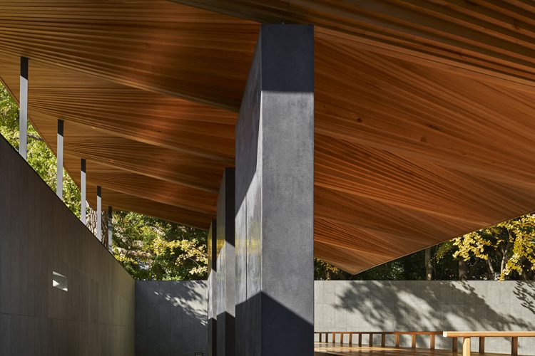 ©Koji Fujii / TOREAL