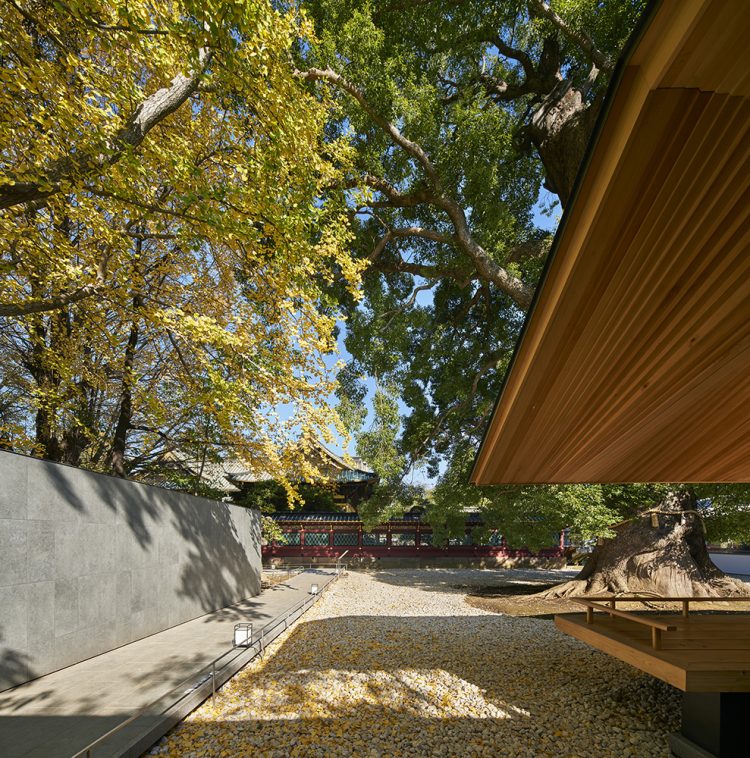 ©Koji Fujii / TOREAL