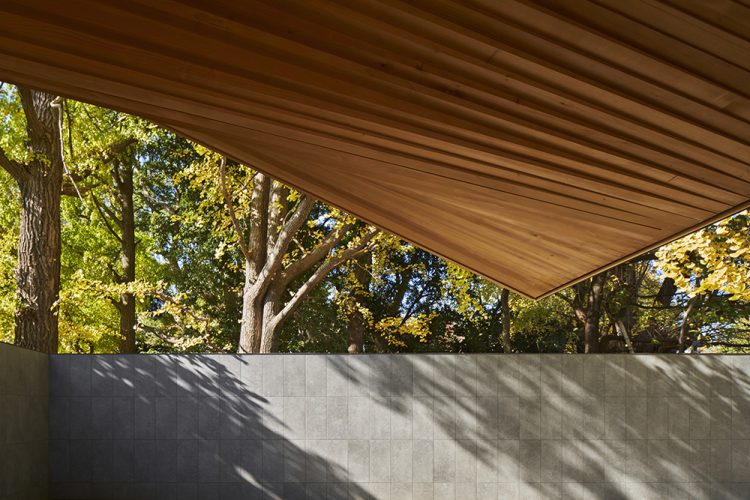 ©Koji Fujii / TOREAL