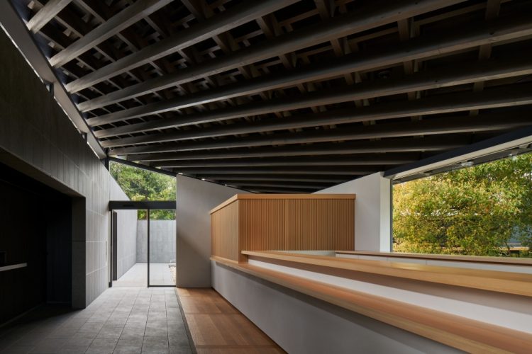 ©Koji Fujii / TOREAL