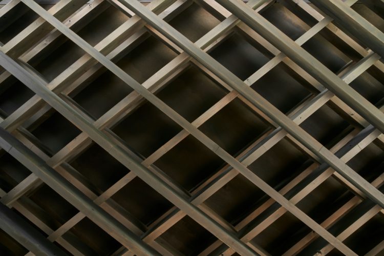 ©Koji Fujii / TOREAL