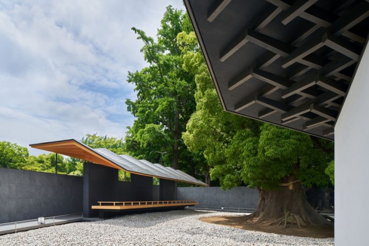 ©Koji Fujii / TOREAL